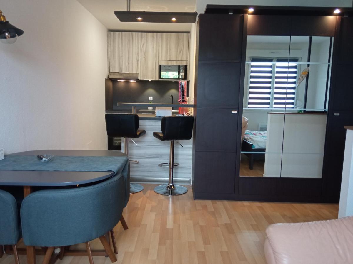 Charmant Studio Classe 3 Etoiles Au Coeur De Niederbronn-Les-Bains Εξωτερικό φωτογραφία