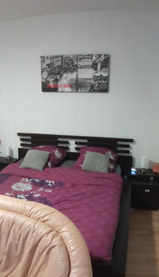 Charmant Studio Classe 3 Etoiles Au Coeur De Niederbronn-Les-Bains Εξωτερικό φωτογραφία
